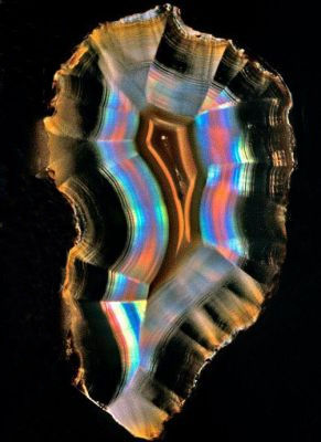 Iris Agate.1.jpg